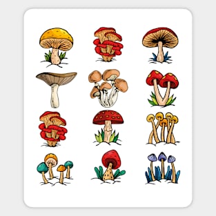 Mushroom gift Mycology Fungi Foraging Mushroom Whisperer Magnet